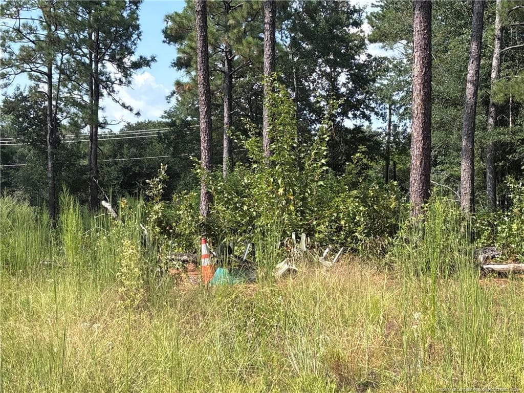 Photo 4 - 813 Wiregrass Road, Hamlet, NC 28345