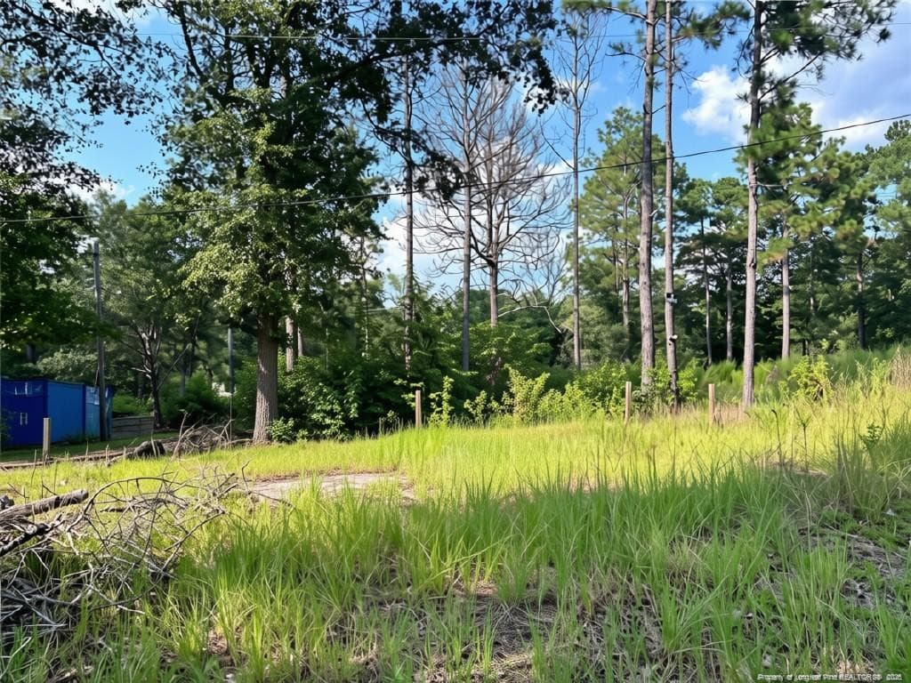 Photo 2 - 813 Wiregrass Road, Hamlet, NC 28345