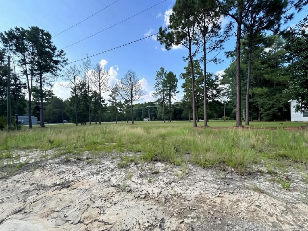 Photo 5 - 813 Wiregrass Road, Hamlet, NC 28345