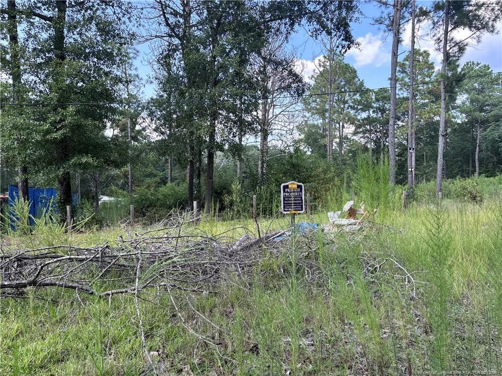 Photo 6 - 813 Wiregrass Road, Hamlet, NC 28345