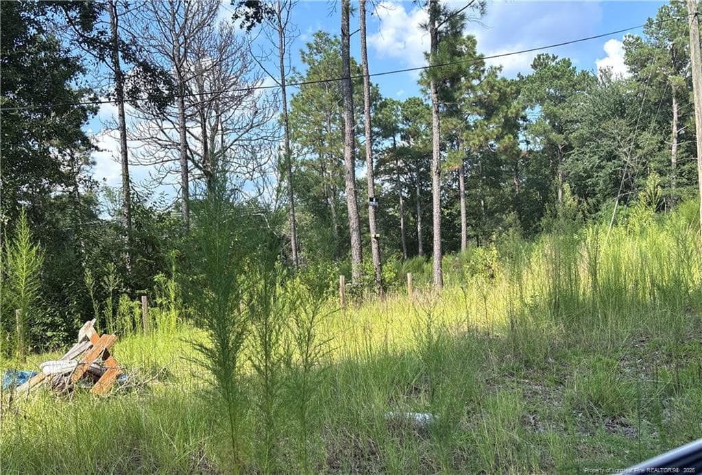 Photo 7 - 813 Wiregrass Road, Hamlet, NC 28345