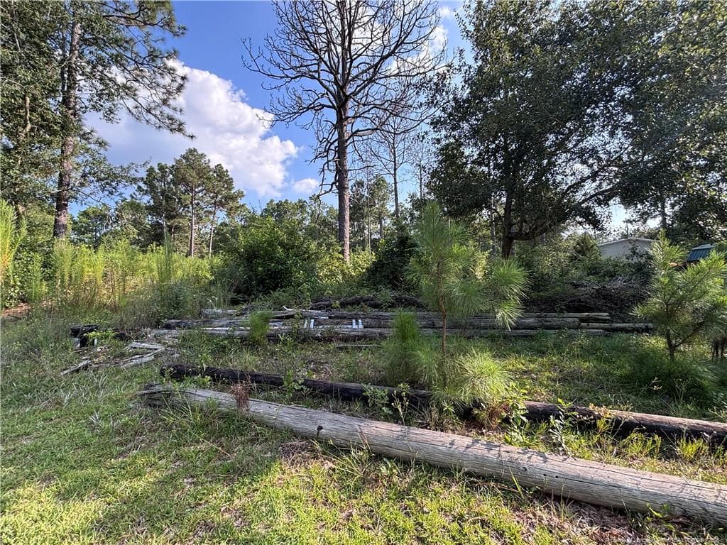 Photo 8 - 813 Wiregrass Road, Hamlet, NC 28345