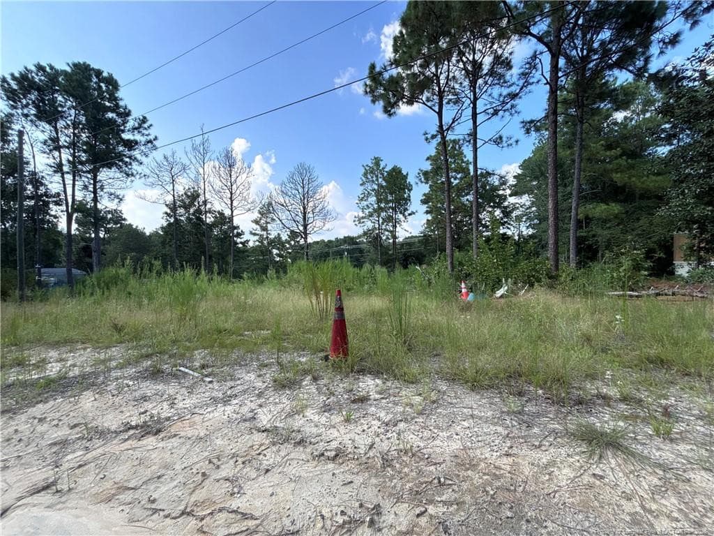 Photo 9 - 813 Wiregrass Road, Hamlet, NC 28345