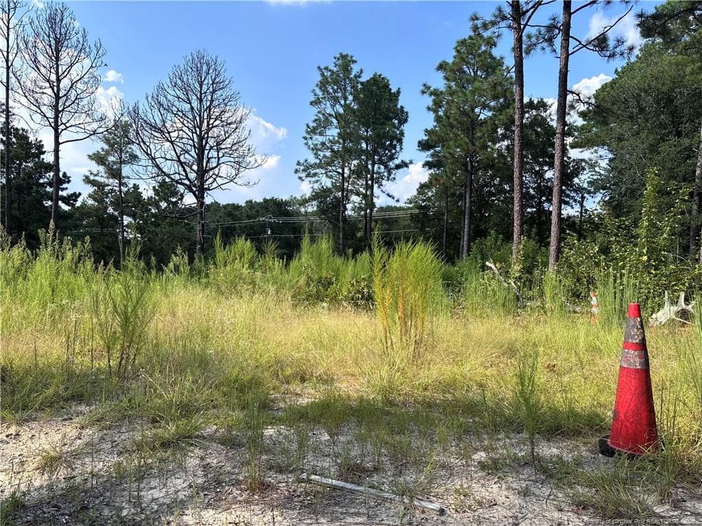 Photo 10 - 813 Wiregrass Road, Hamlet, NC 28345