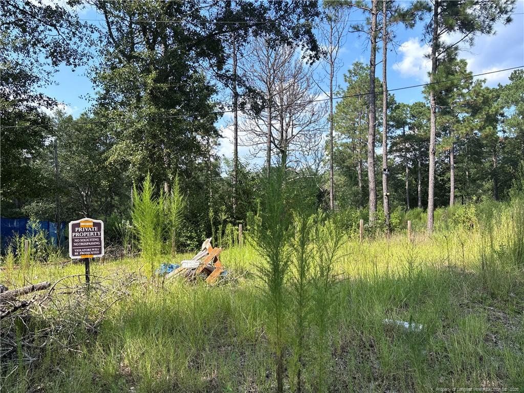 Photo 12 - 813 Wiregrass Road, Hamlet, NC 28345