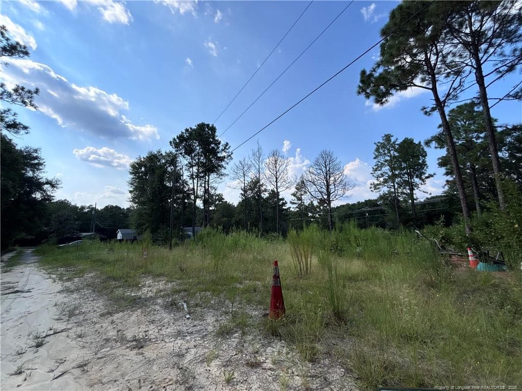 Photo 11 - 813 Wiregrass Road, Hamlet, NC 28345