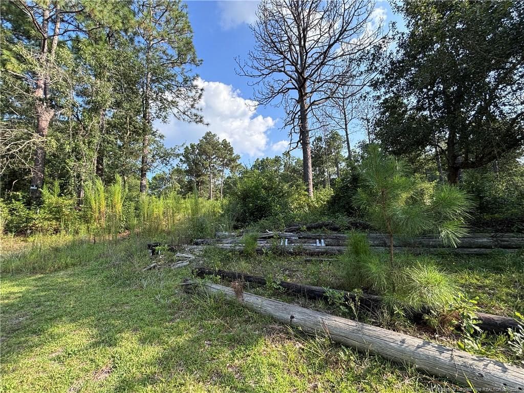 Photo 13 - 813 Wiregrass Road, Hamlet, NC 28345