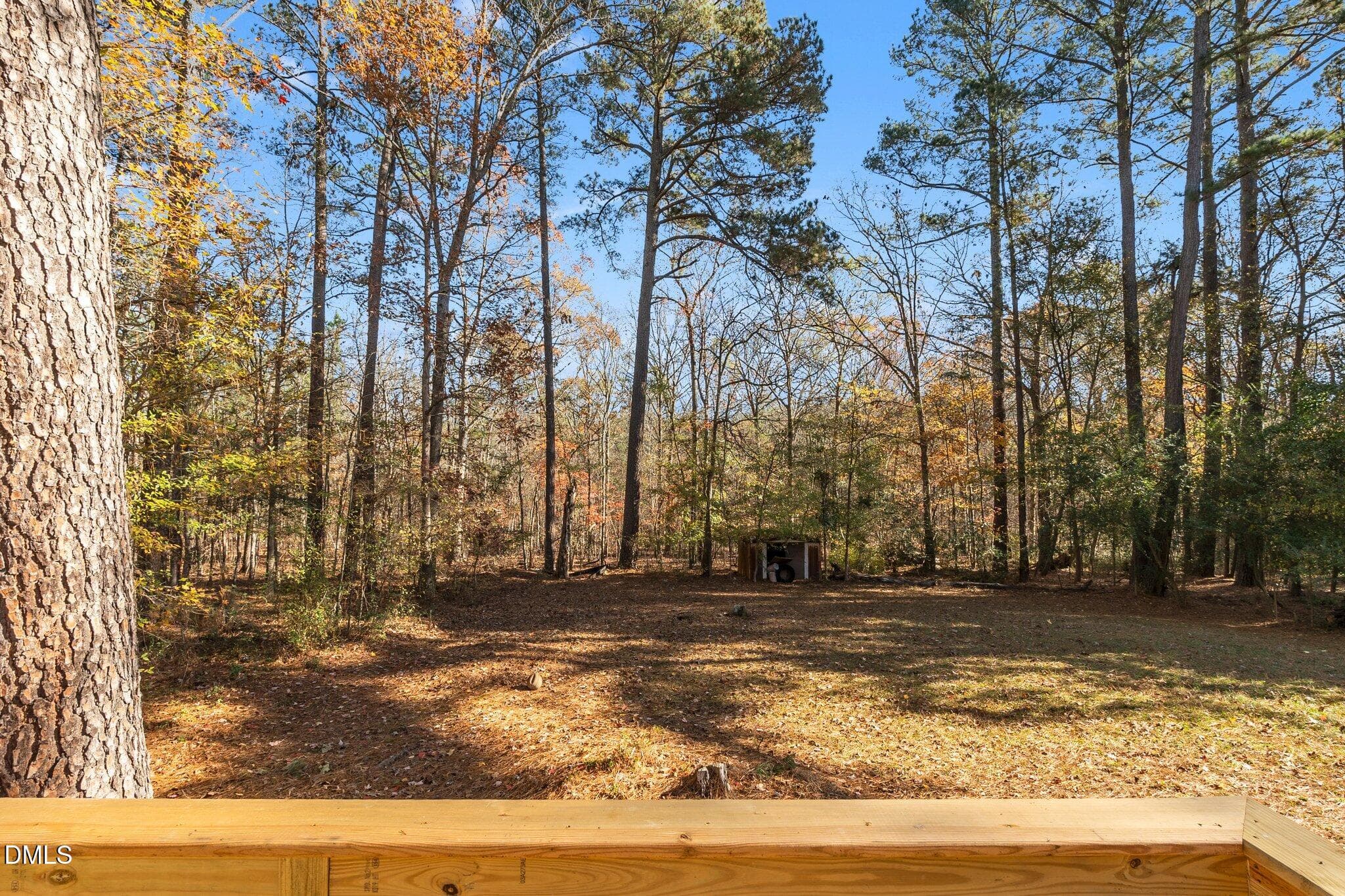 21-web-or-mls-DSC04826 - 144 Brown Hill Road, New Hill, NC 27562