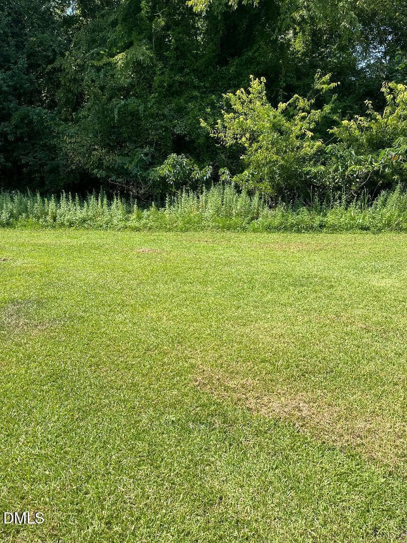 CLEARED AREA - 208 E Washington Street, Lillington, NC 27546