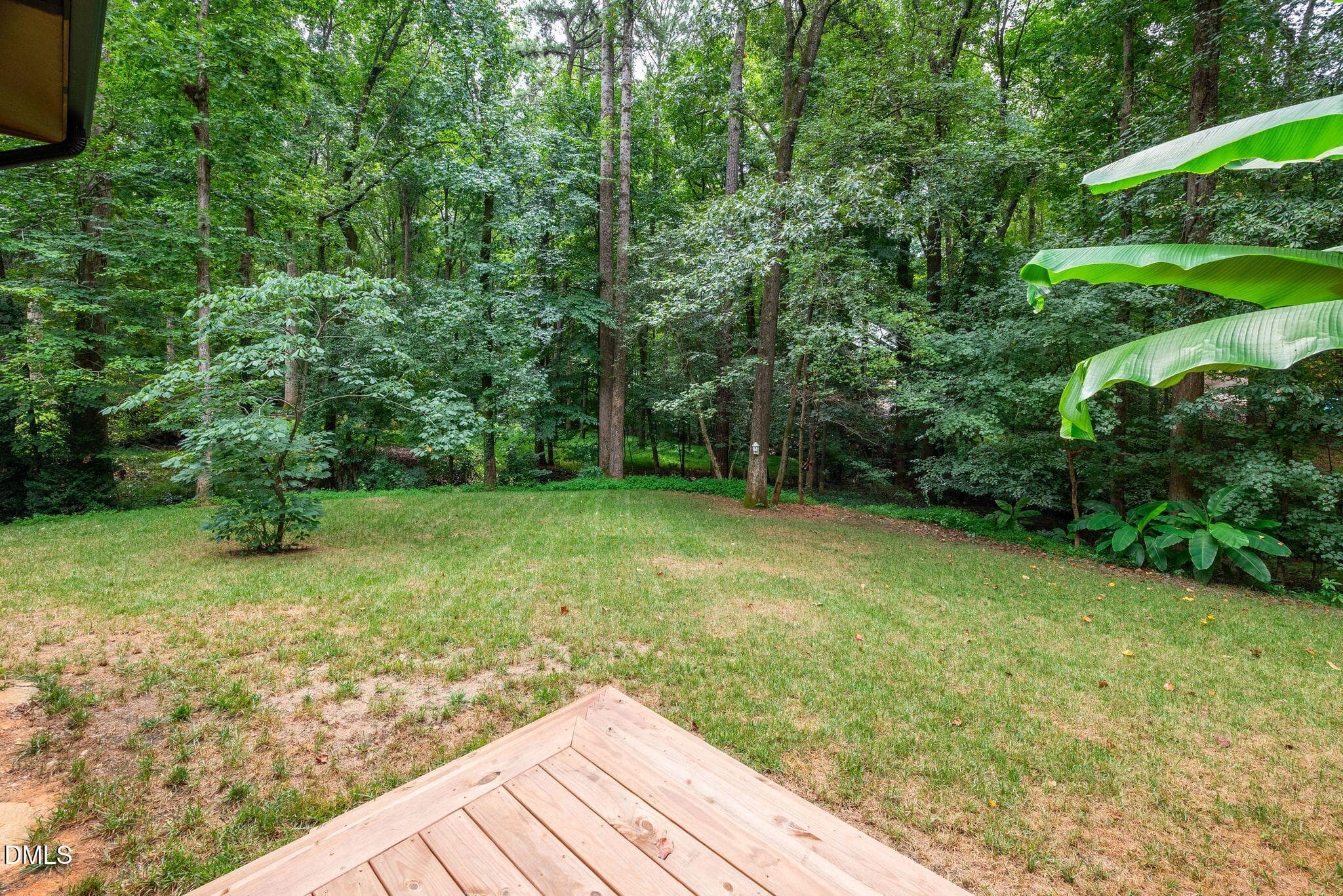 17_DSC_2373 - 3213 Purland Drive, Raleigh, NC 27603, Raleigh