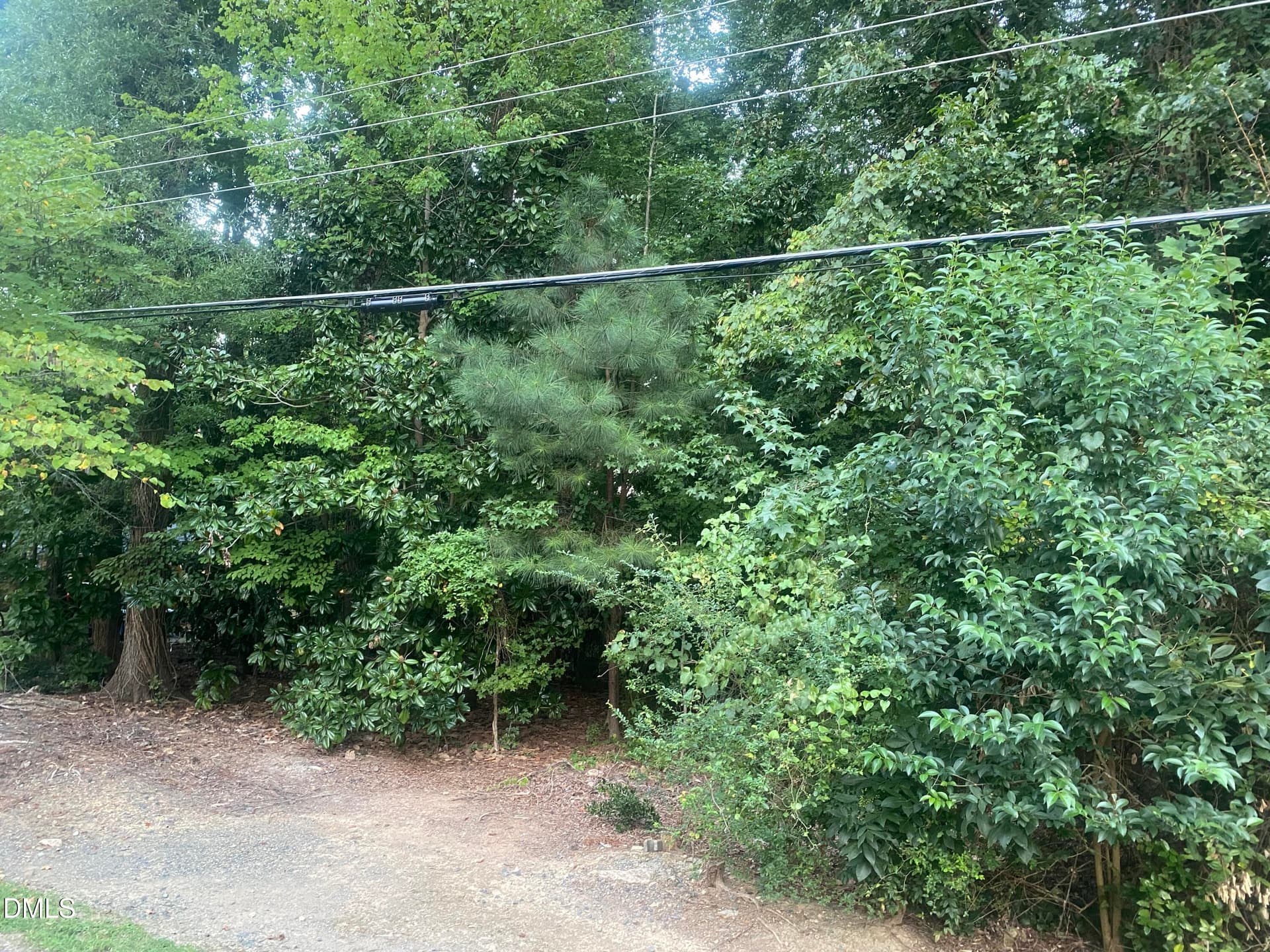 IMG_3883 - 5026 Green Oak Drive, Durham, NC 27712