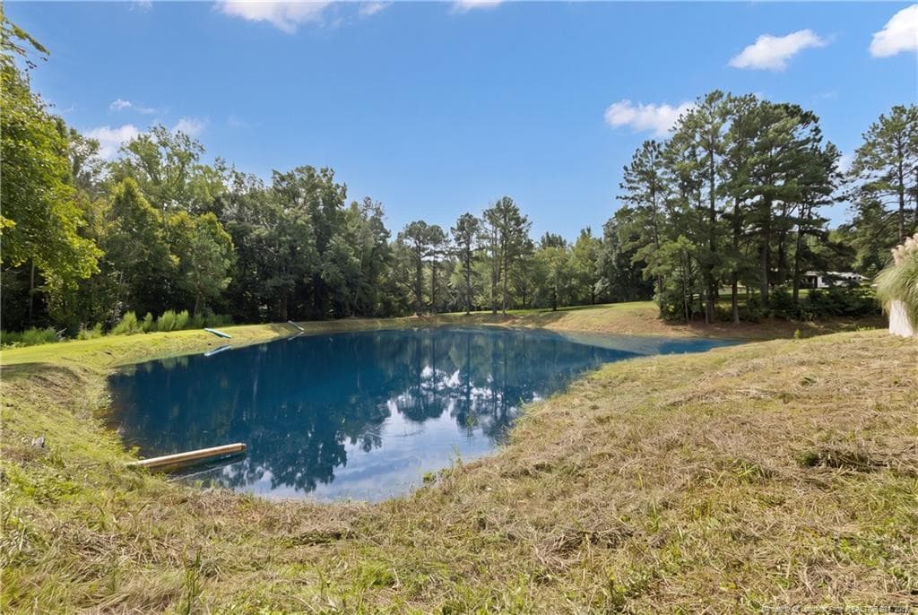 Photo 13 - 101 Elizabeth Road, Elizabethtown, NC 28337