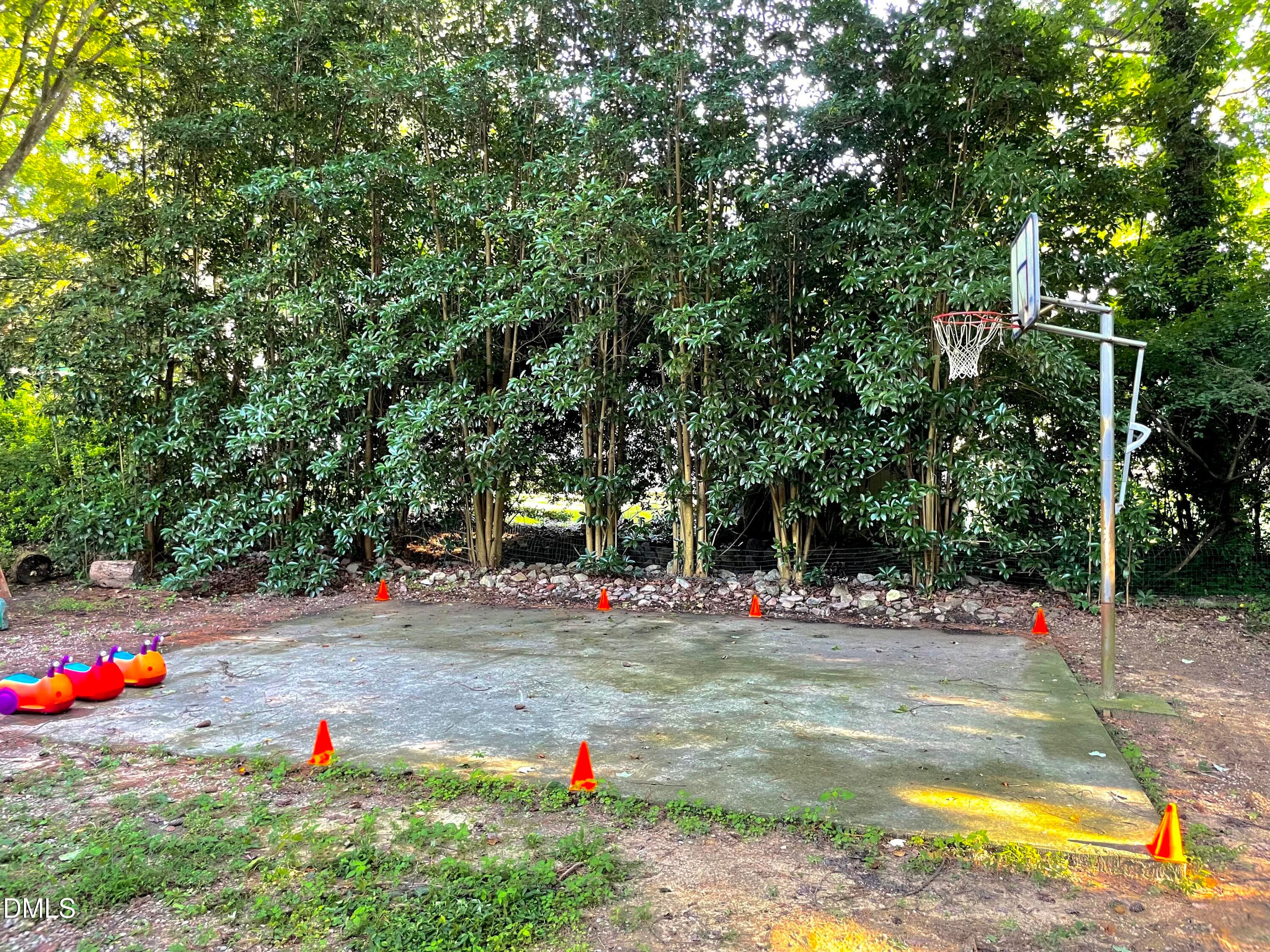IMG_2851 - 3516 Donna Road, Raleigh, NC 27604, Raleigh