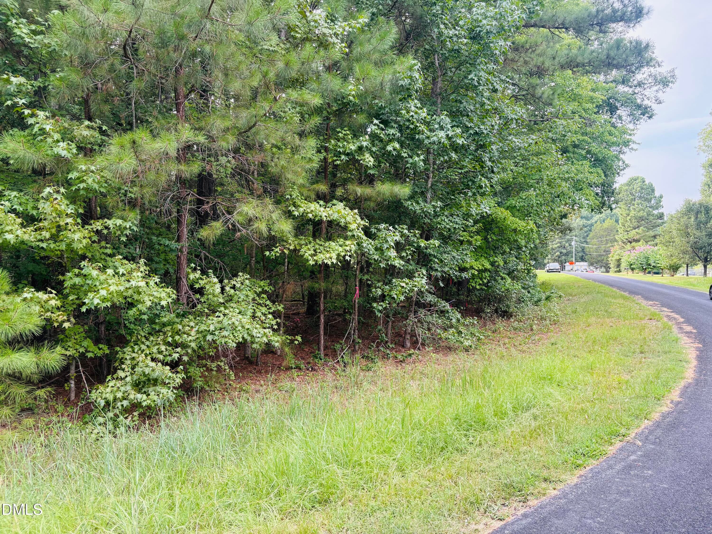 IMG_0932 - Tbd Richardson Road, Pittsboro, NC 27312, Pittsboro