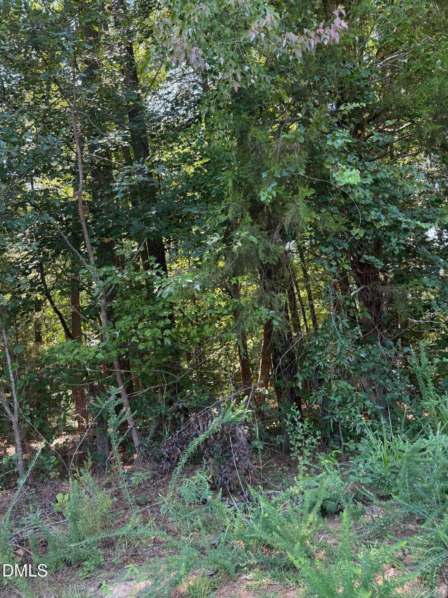 0 Williams Farm Road, Sanford, NC 27332