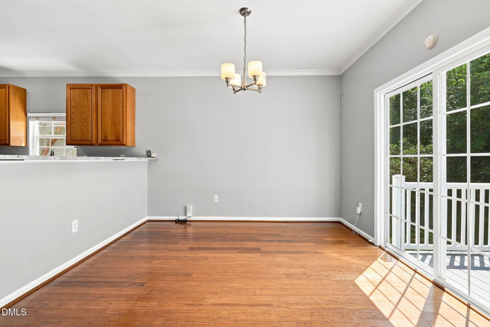 29-web-or-mls-IMG_4286 - 603 Calavaras Lane, Knightdale, NC 27545, Knightdale