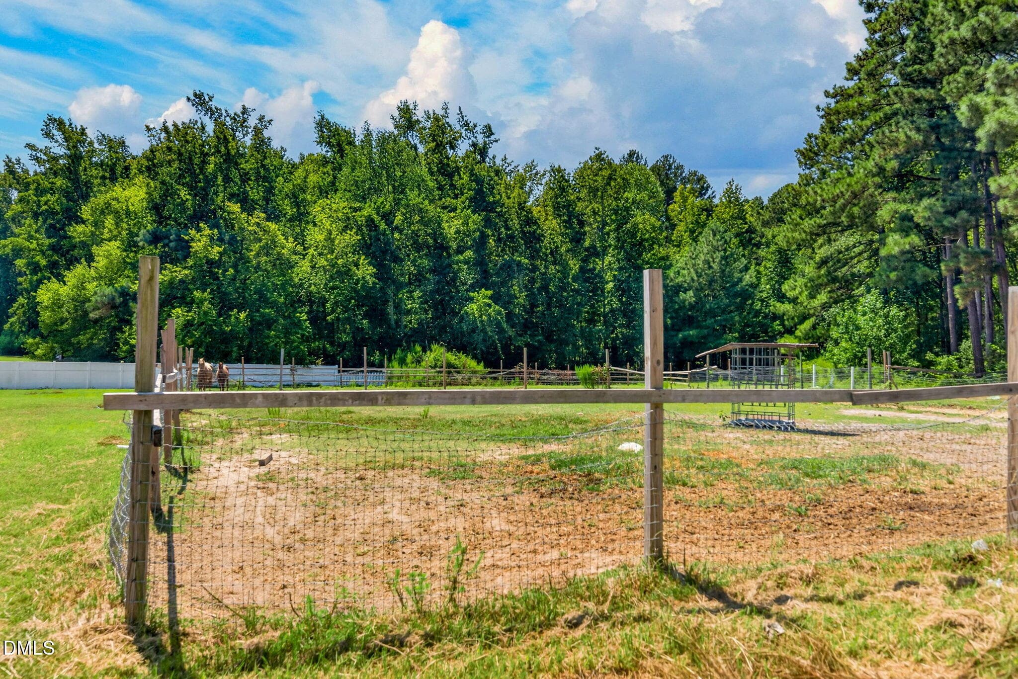 83-web-or-mls-1663 Hayes Road - 83 - 1663 Hayes Road, Creedmoor, NC 27522