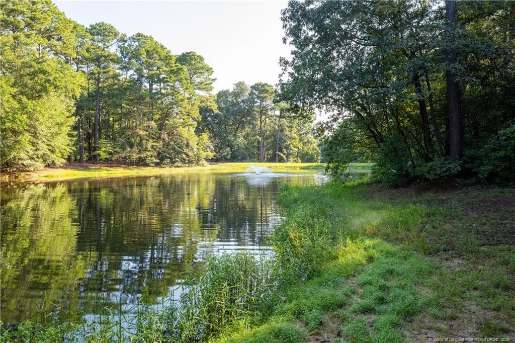 Photo 2 - 295 Sprunt Drive, Clinton, NC 28328, Clinton