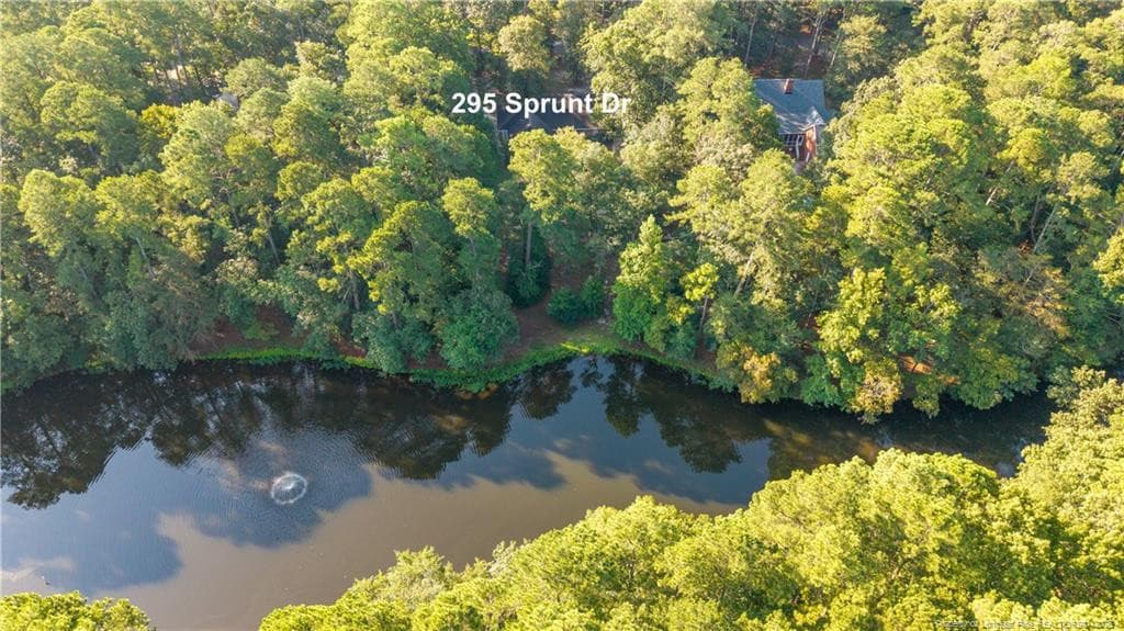 Photo 4 - 295 Sprunt Drive, Clinton, NC 28328