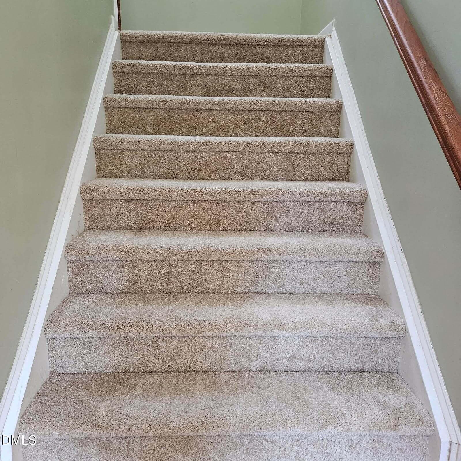 CARPET LOUISBURG - 20 Greenleaf Court, Louisburg, NC 27549, Louisburg
