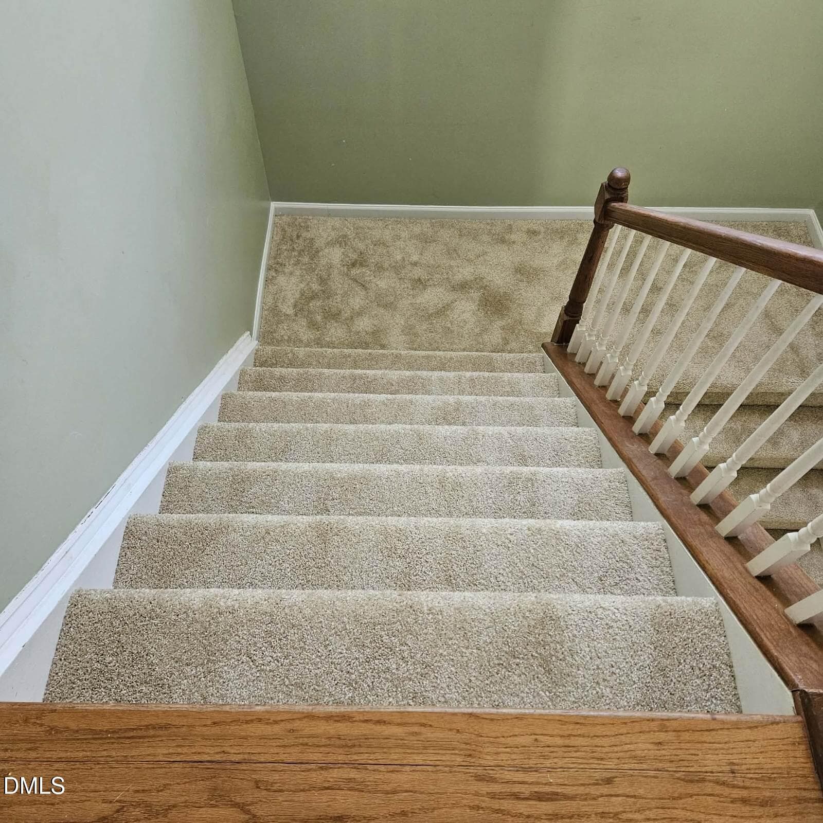 New carpet #1 - 20 Greenleaf Court, Louisburg, NC 27549, Louisburg