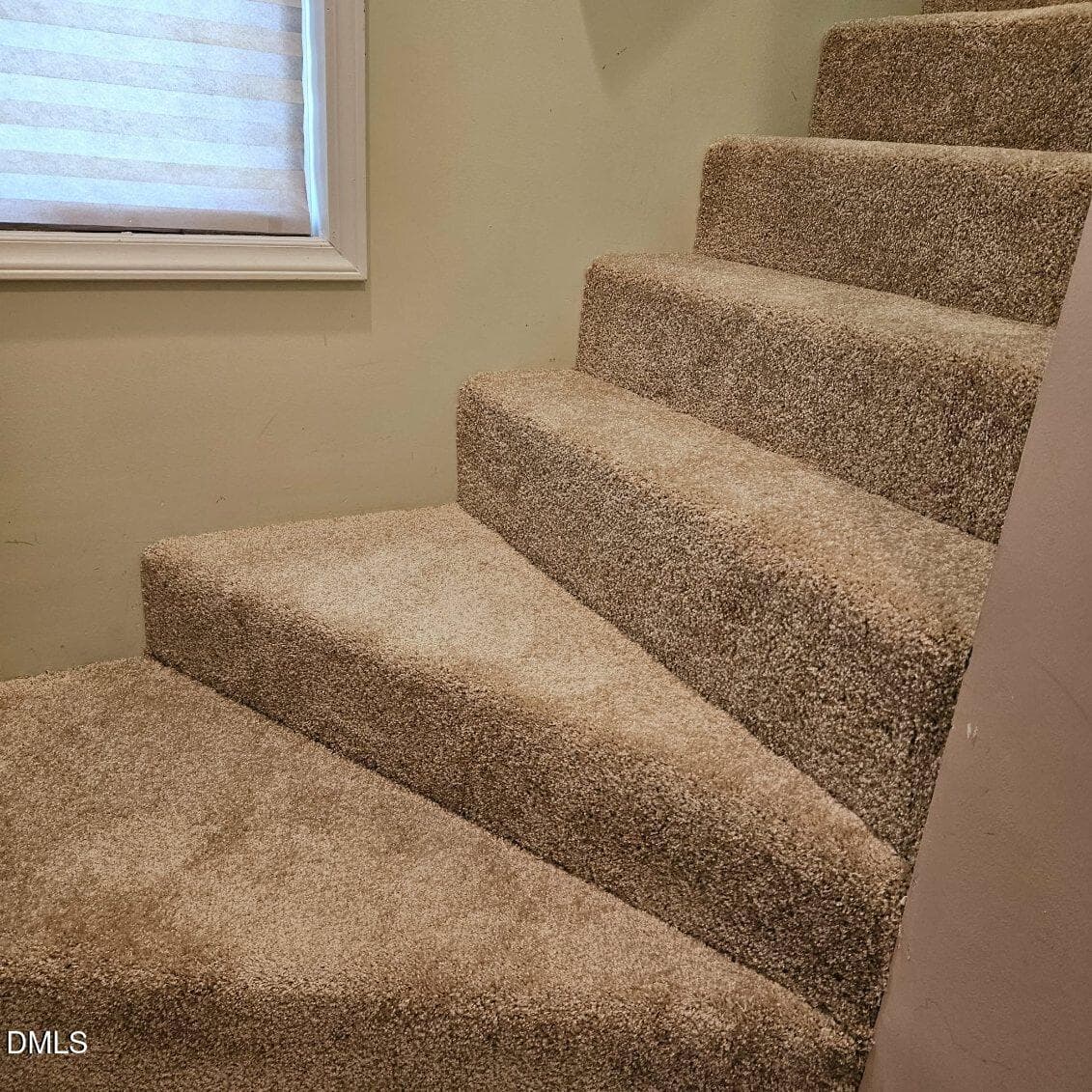 New Carpet #2 - 20 Greenleaf Court, Louisburg, NC 27549, Louisburg