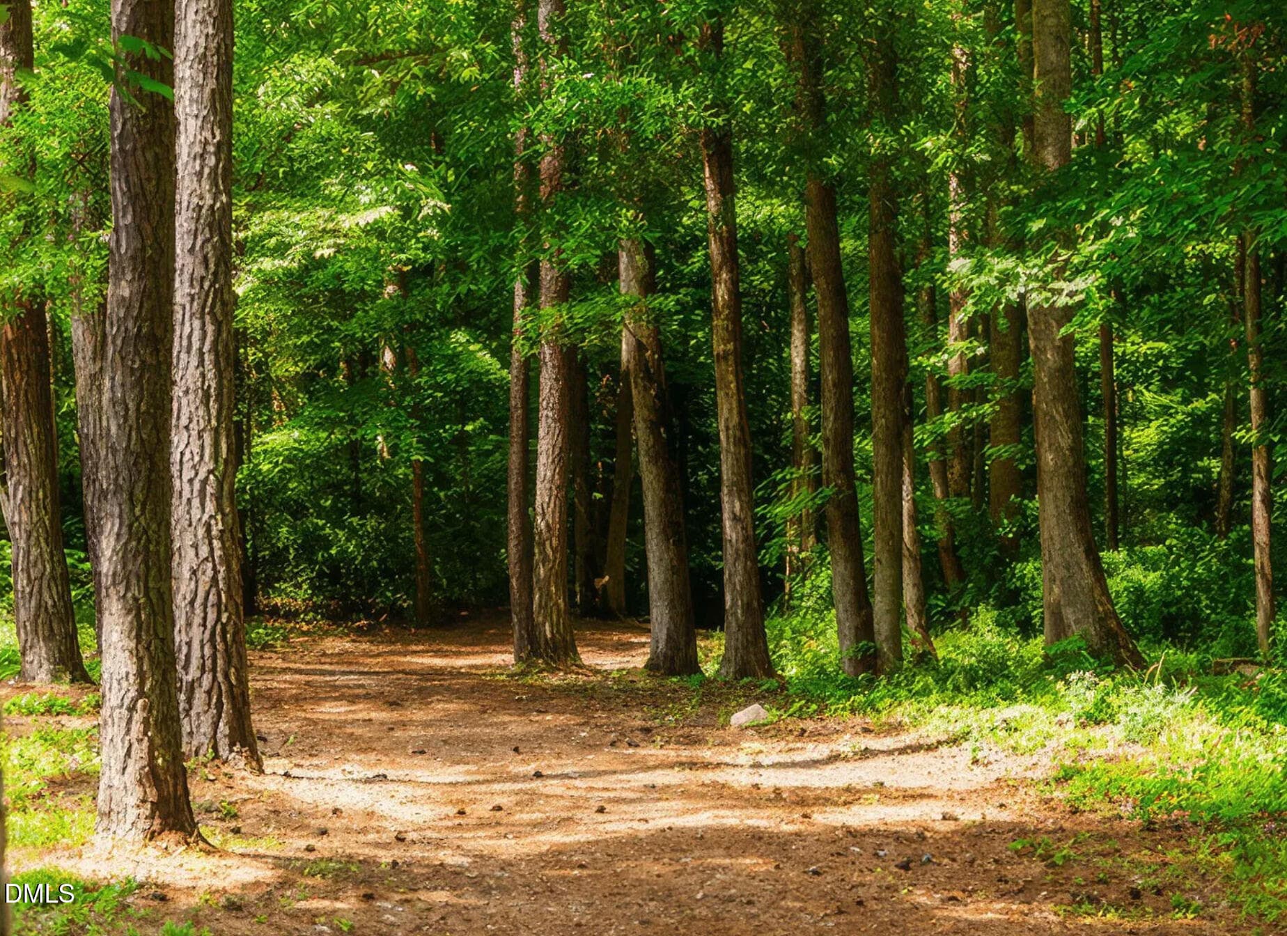 19 - 19 Pokeberry Bend Drive, Chapel Hill, NC 27516, Chapel Hill