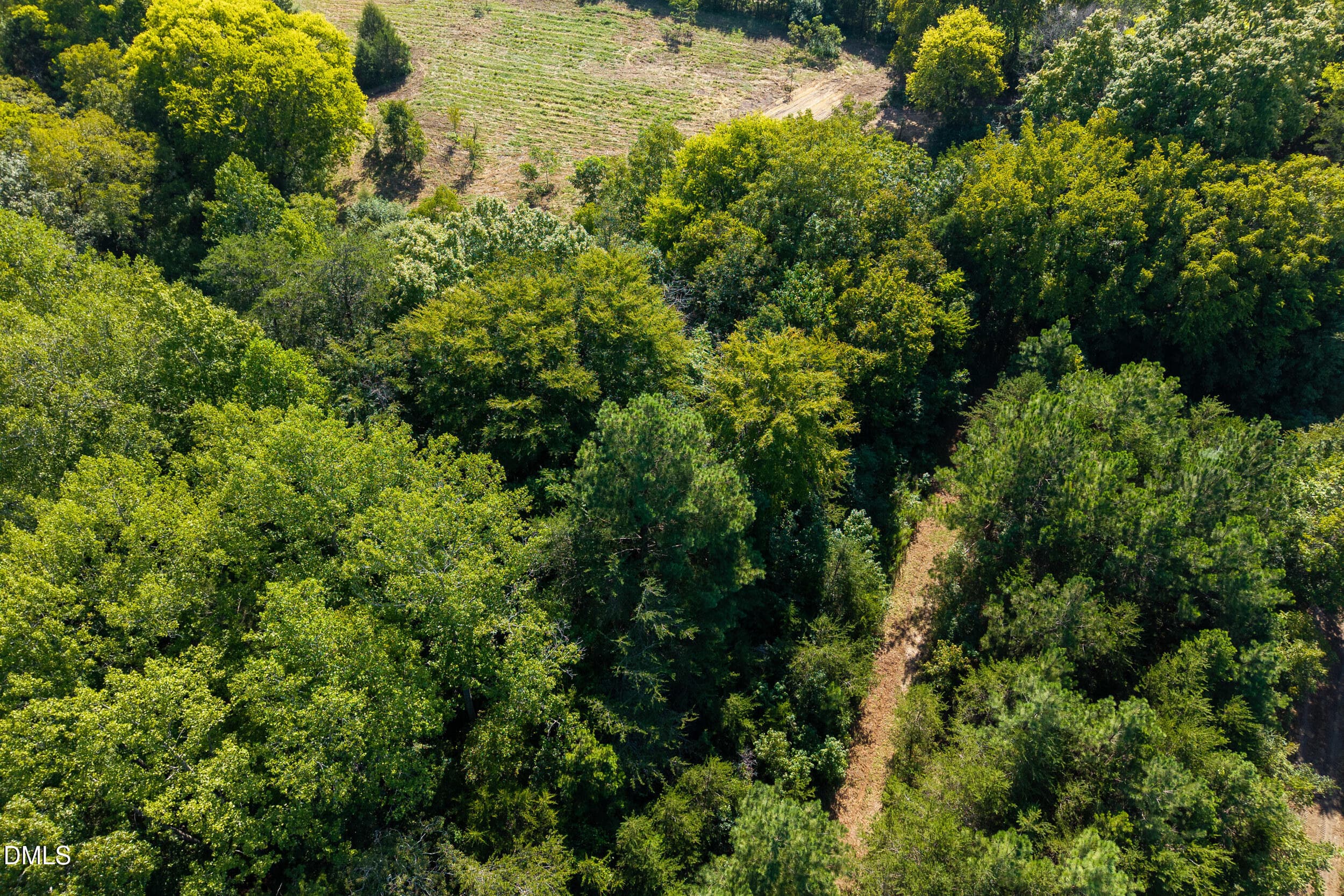 7 -drone, exterior, pennstar trail - Lot 2 Pennstar Trail, Mebane, NC 27302, Mebane