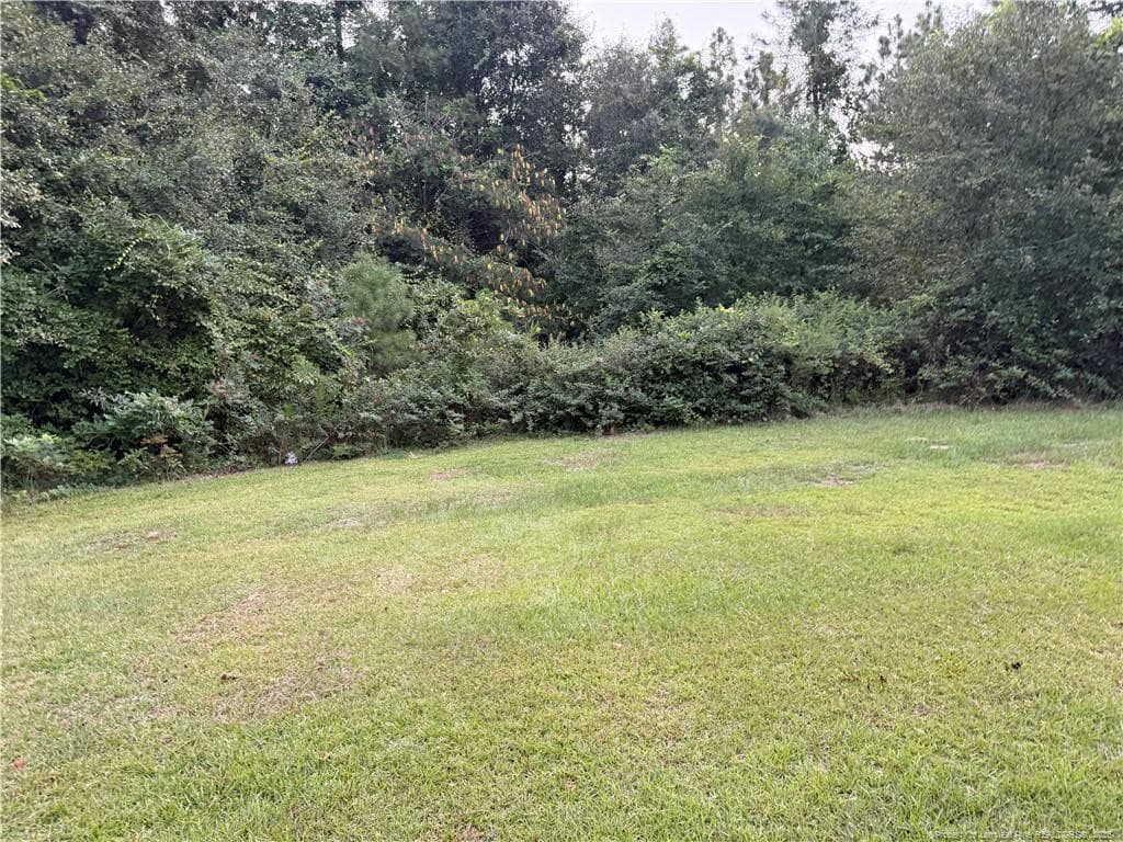 Photo 2 - 19420 Knapp Street, Laurinburg, NC 28352, Laurinburg
