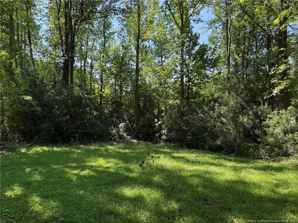Photo 4 - 700 Anderson Creek Drive, Spring Lake, NC 28356