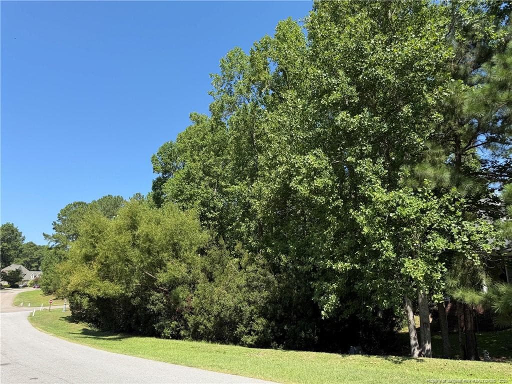 Photo 5 - 700 Anderson Creek Drive, Spring Lake, NC 28356
