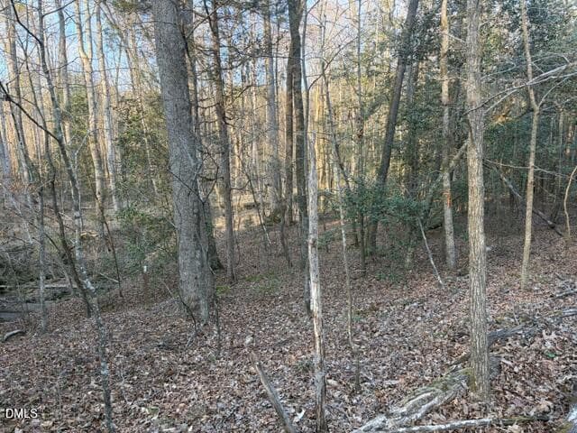 Lot Rear Property Line - 3829 Standing Pine Lane, Zebulon, NC 27597, Zebulon