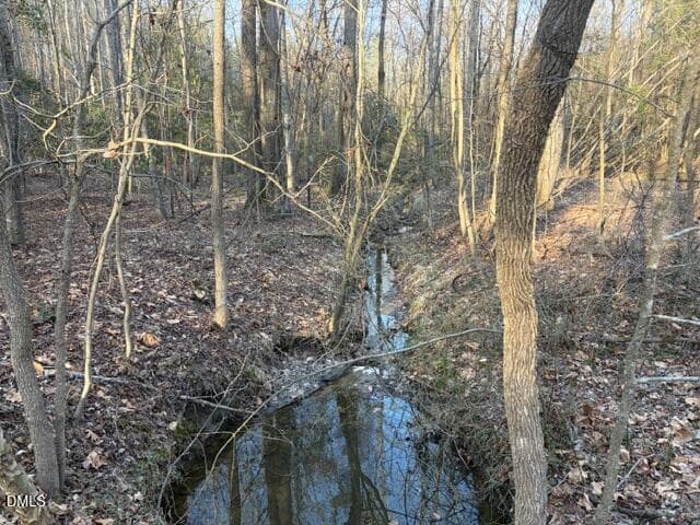Lot 1 Creek - 3829 Standing Pine Lane, Zebulon, NC 27597, Zebulon