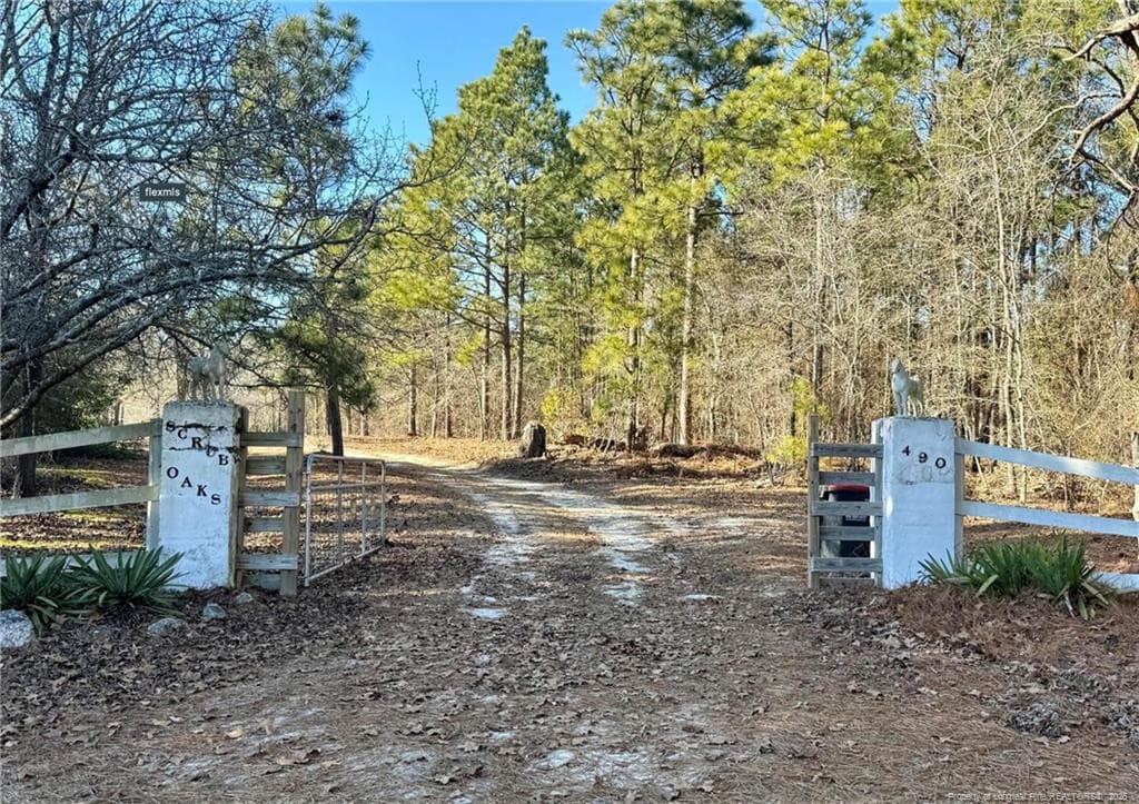 490 Springhill Church Road, Hamlet, NC 28345