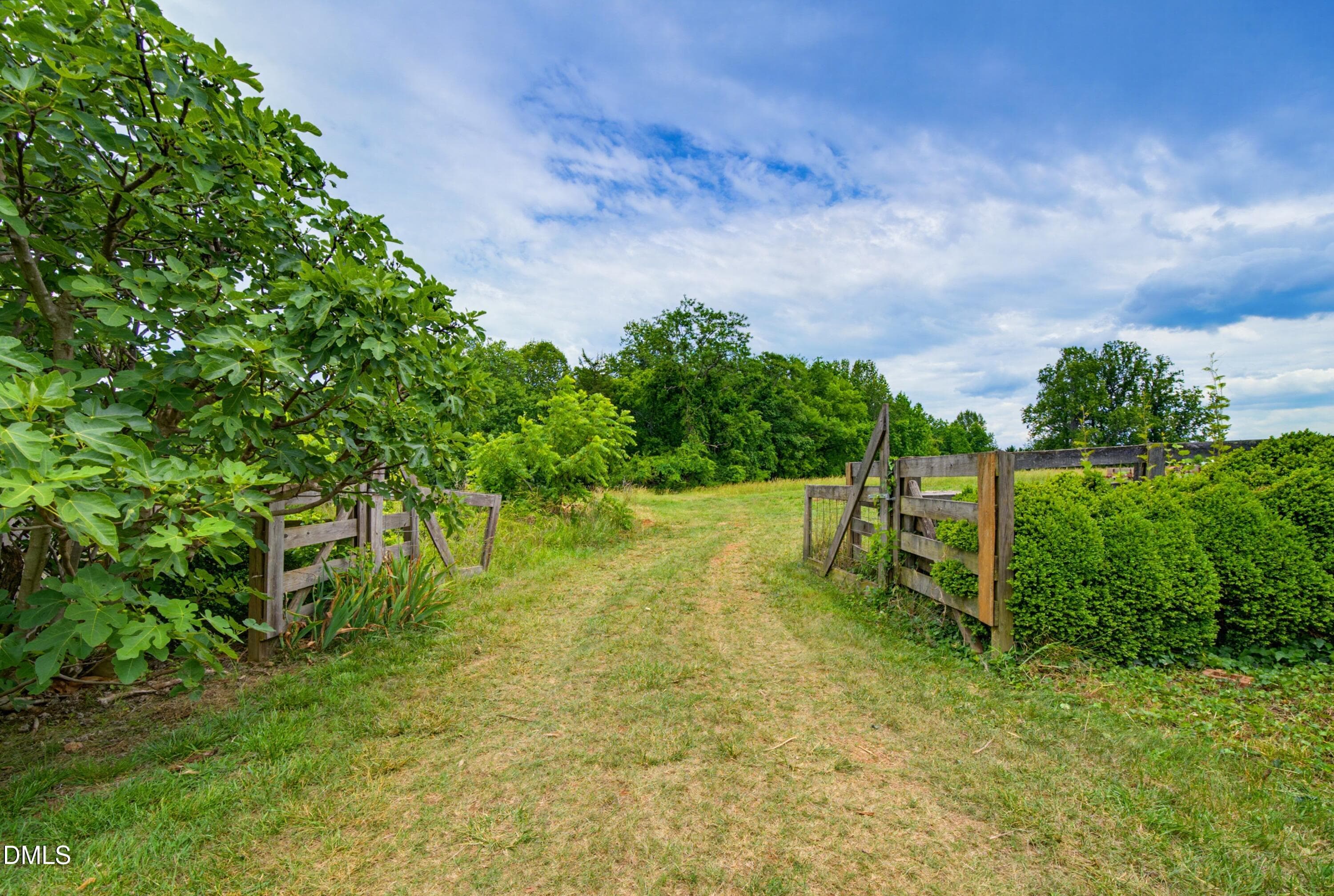 DSC06502 - 4319 Surl Mount Tirzah Road, Timberlake, NC 27583