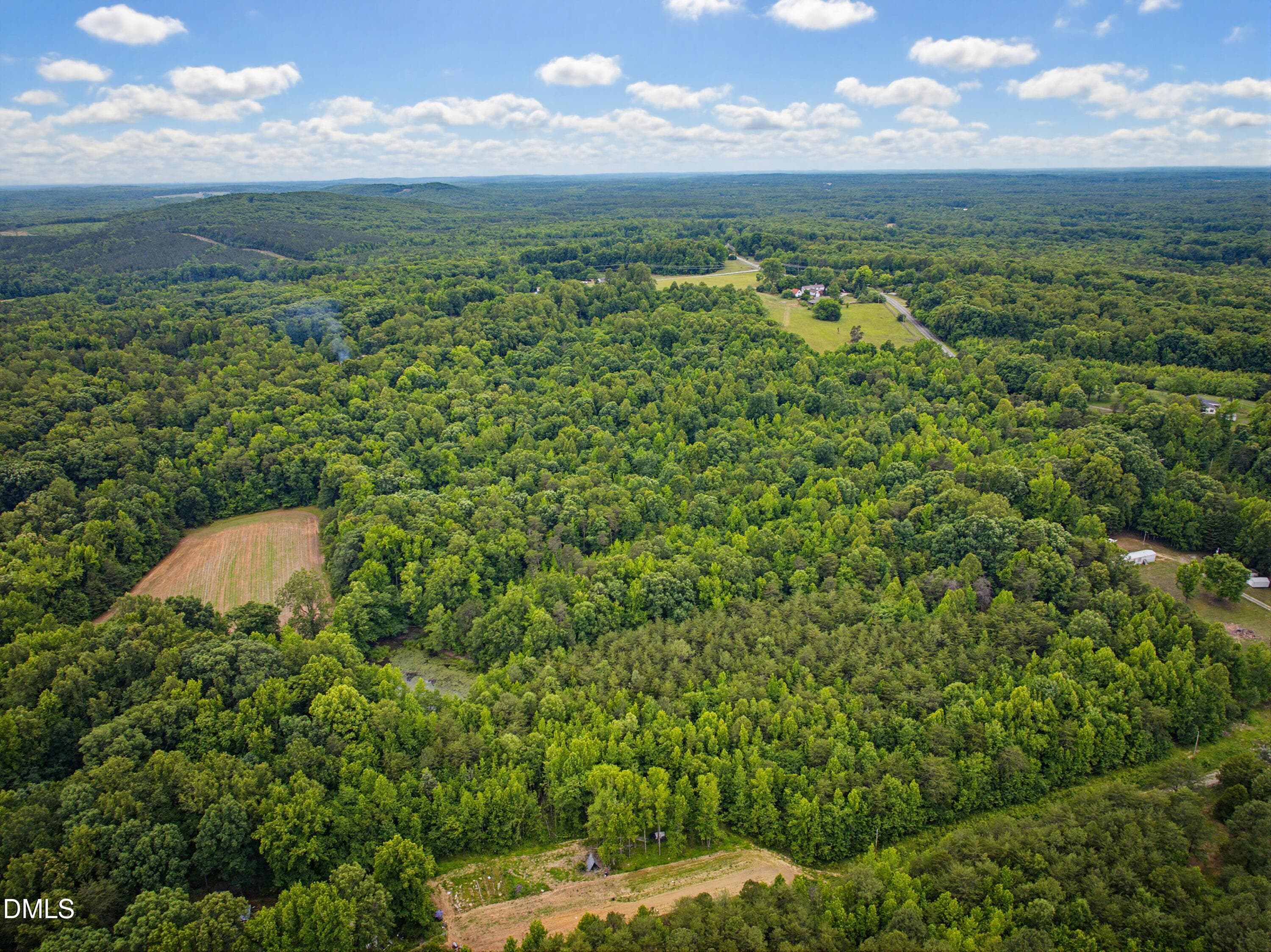 DJI_20260601143314_0053_D - 4319 Surl Mount Tirzah Road, Timberlake, NC 27583