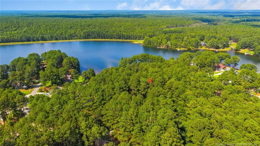 Photo 42 - 16401 Lakeshore Drive, Wagram, NC 28396