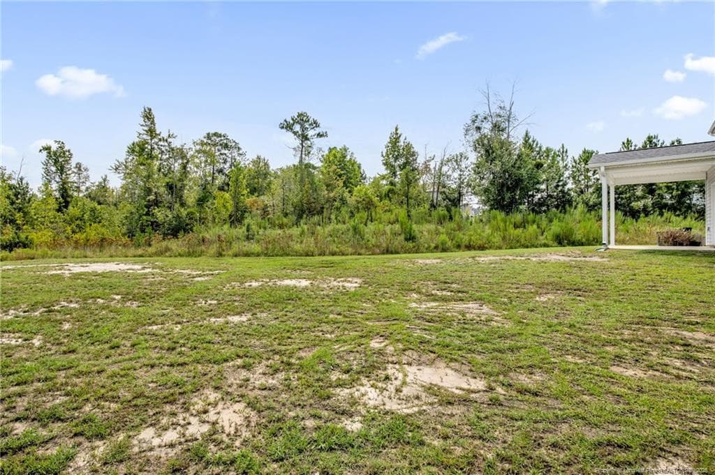 Photo 38 - 44 Princelet Point, Cameron, NC 28326