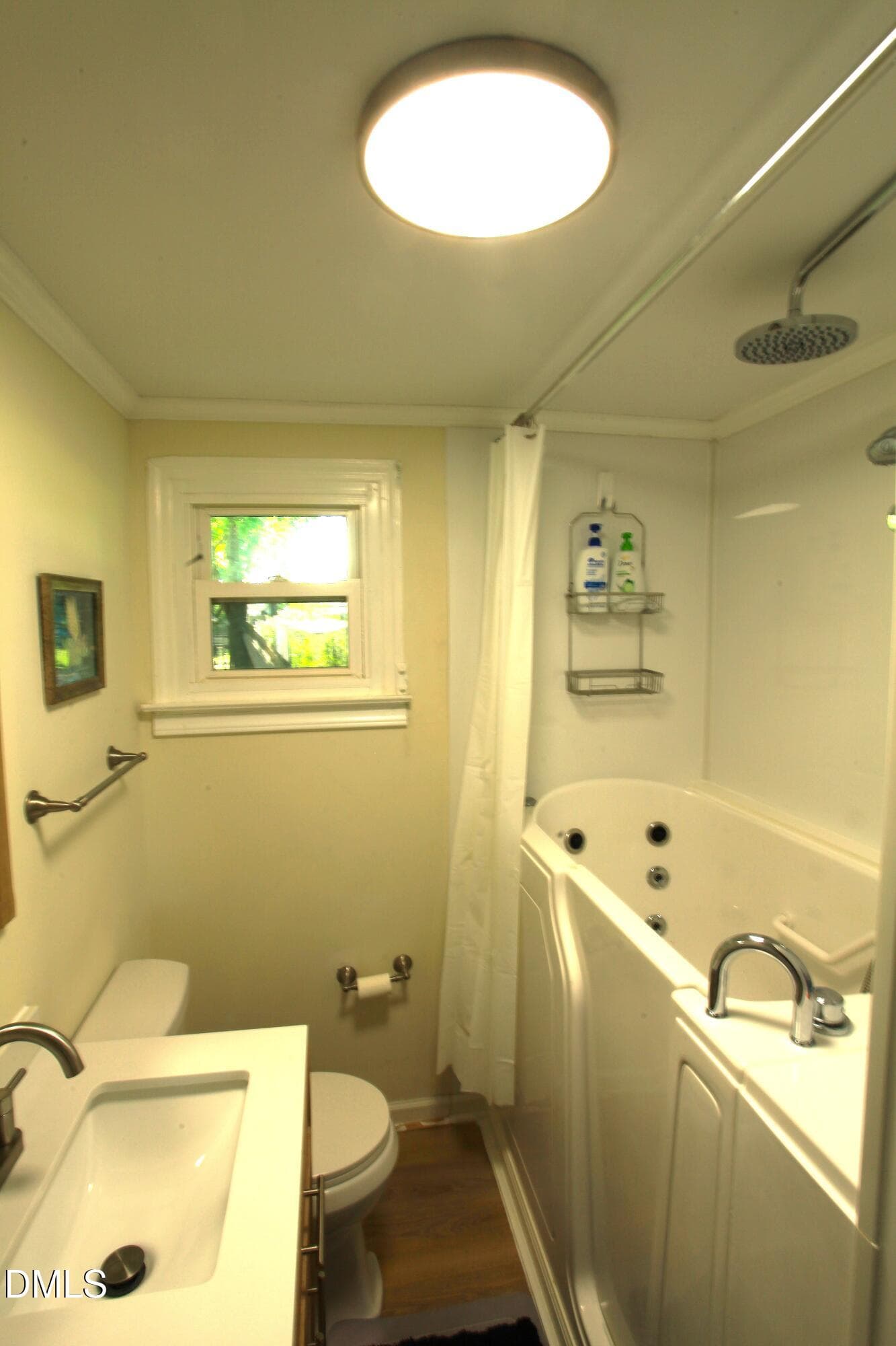 Second bathroom with walk-in tub - 2351 Mount Pleasant Road, Willow Springs, NC 27592, Willow Springs