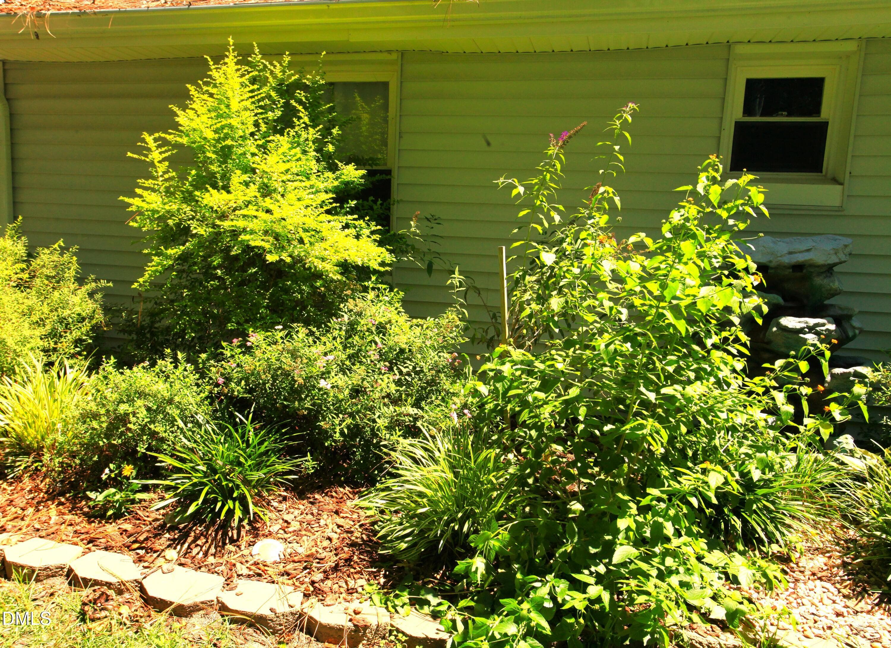 Backysard butterfly and wildlife garden - 2351 Mount Pleasant Road, Willow Springs, NC 27592, Willow Springs