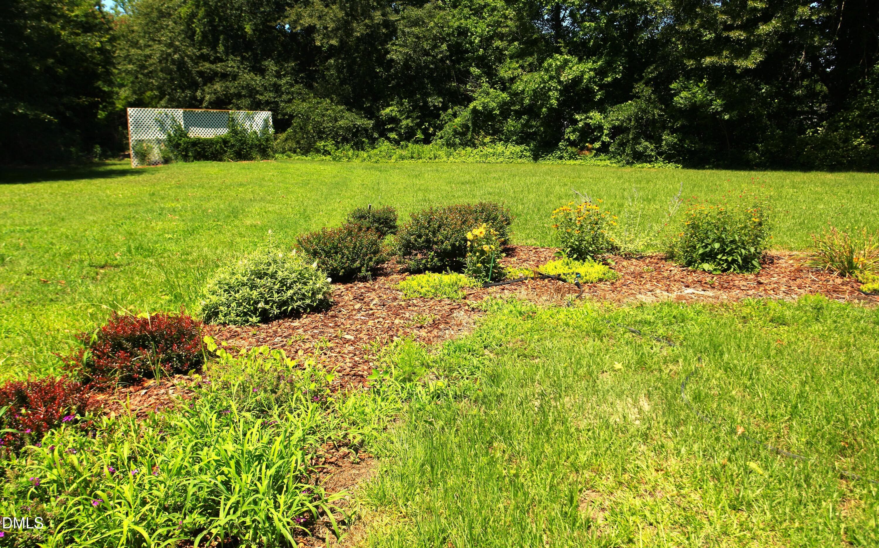 Field butterfly and wildlife garden - 2351 Mount Pleasant Road, Willow Springs, NC 27592, Willow Springs