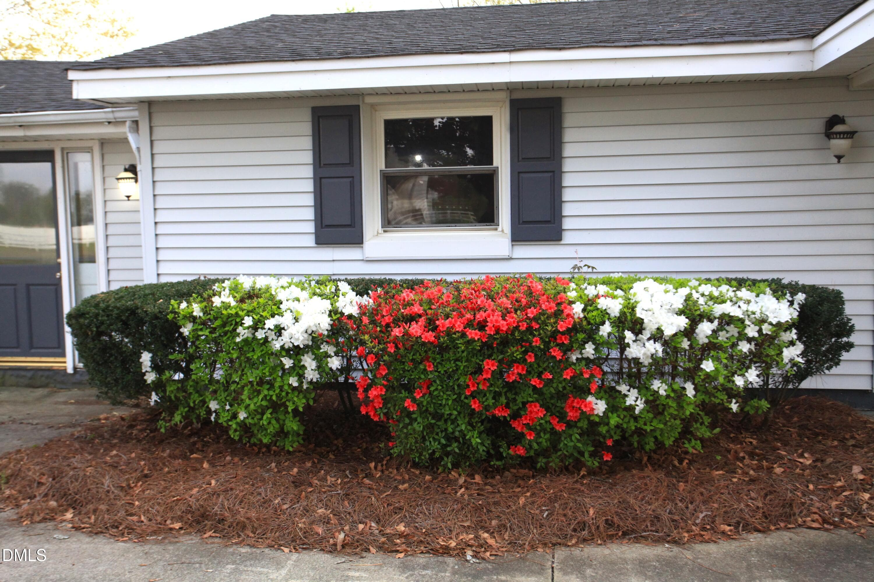 Front yard landscaping - 2351 Mount Pleasant Road, Willow Springs, NC 27592, Willow Springs