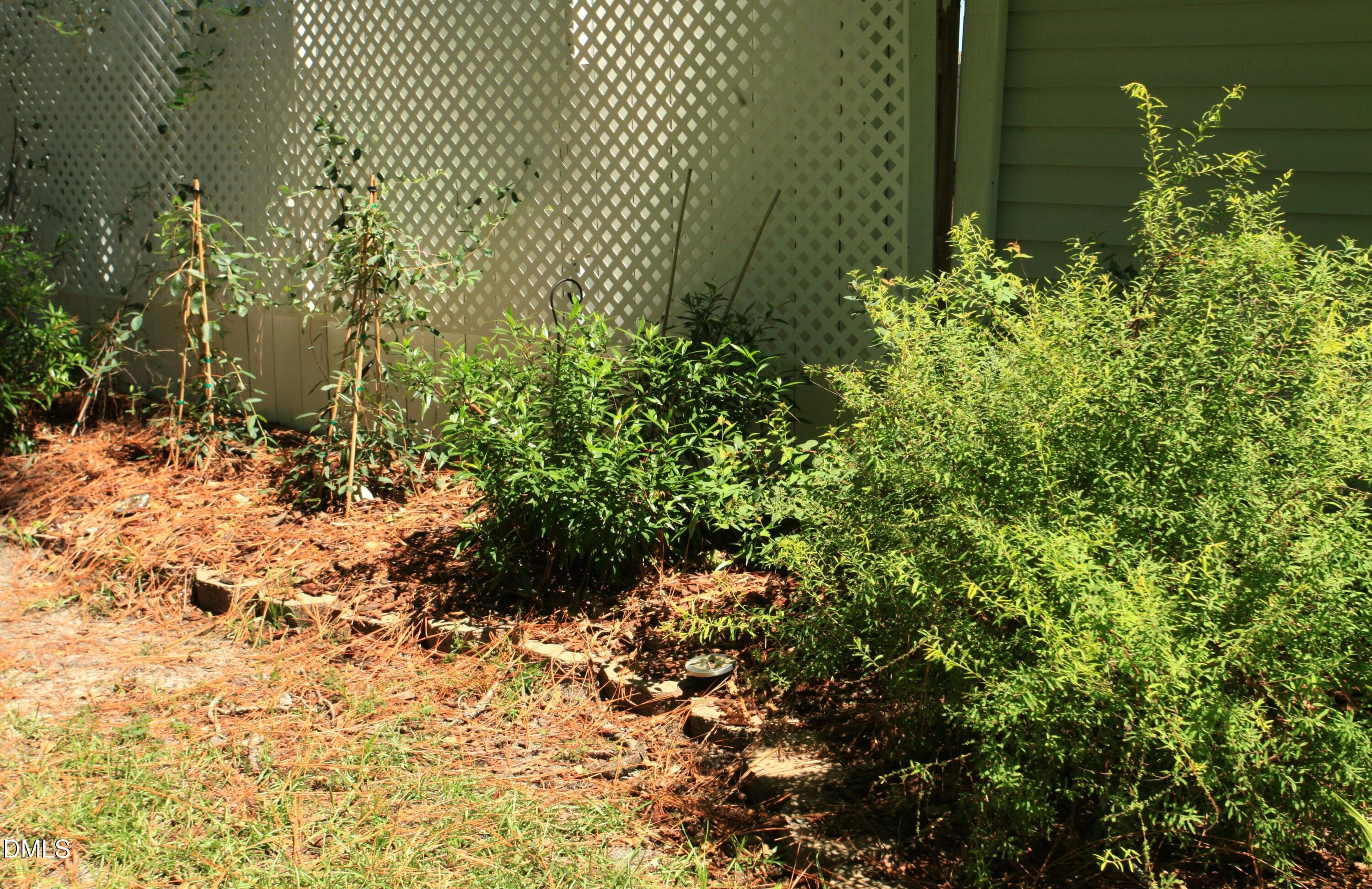 Gardemo bushes and wildlife gaden - 2351 Mount Pleasant Road, Willow Springs, NC 27592, Willow Springs