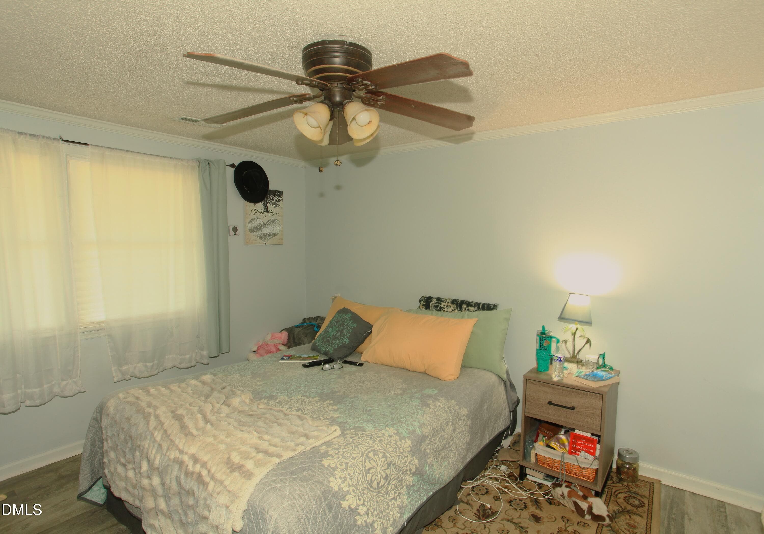Renter's master bedroom - 2351 Mount Pleasant Road, Willow Springs, NC 27592, Willow Springs