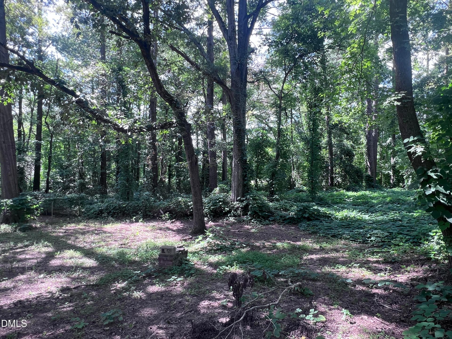Wooded View - 125 Booth Avenue, Henderson, NC 27536