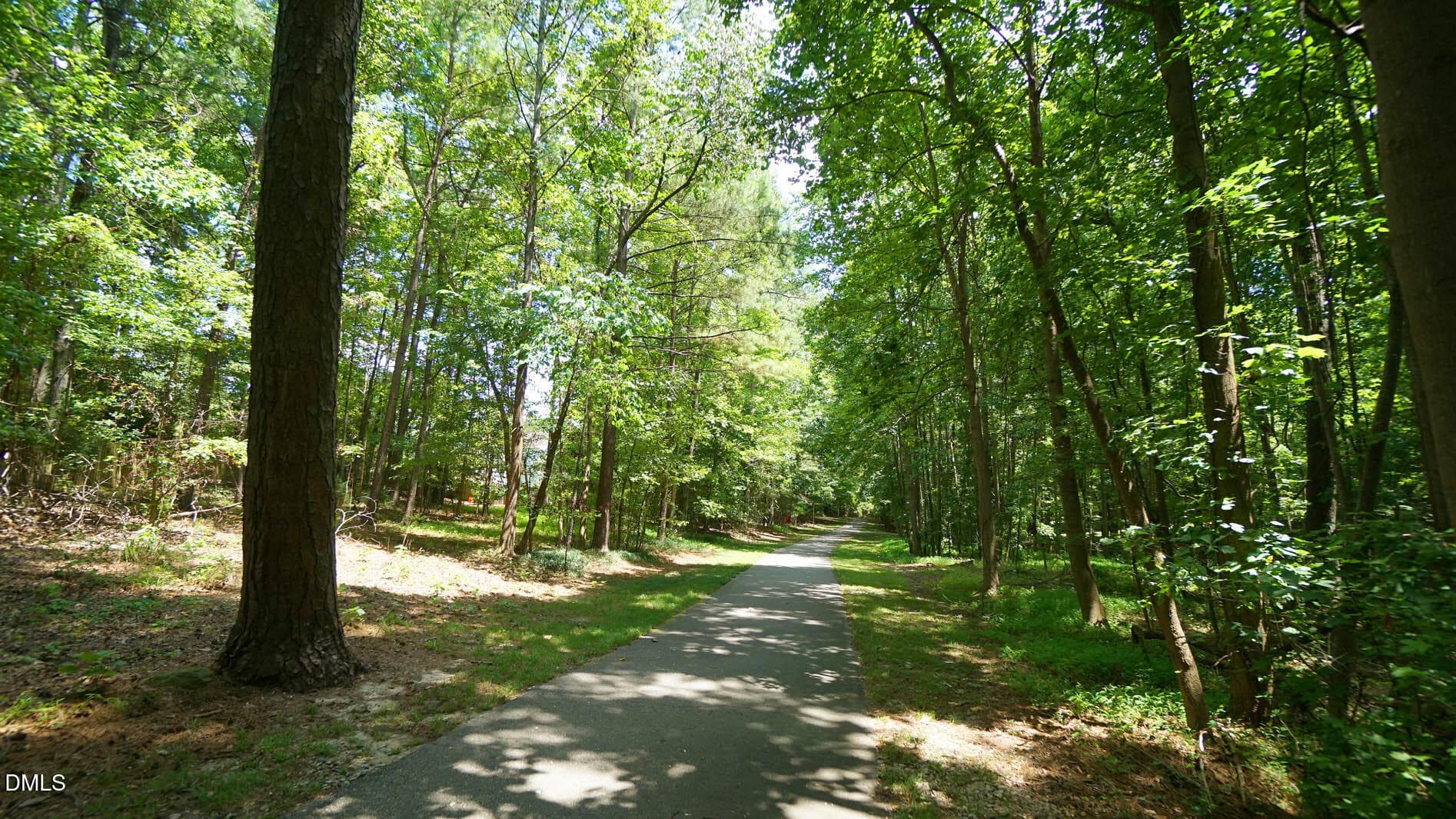 DSC02234 - 10200 Riverstone Place, Raleigh, NC 27614, Raleigh