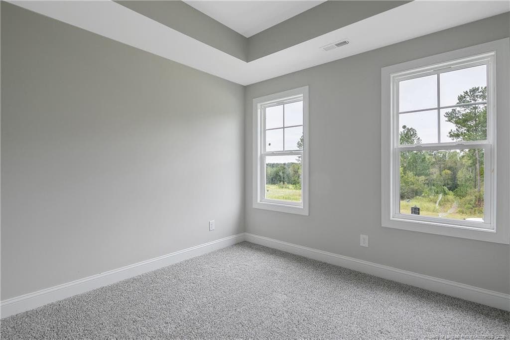 Photo 38 - 1951 Thomas Wood (Lot 96) Drive, Fayetteville, NC 28306, Fayetteville