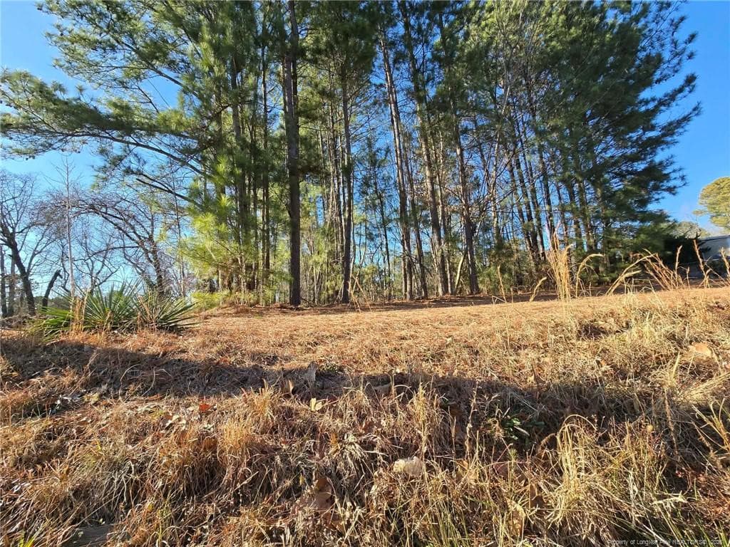 Photo 15 - 4026 Nursery Road, Spring Lake, NC 28390