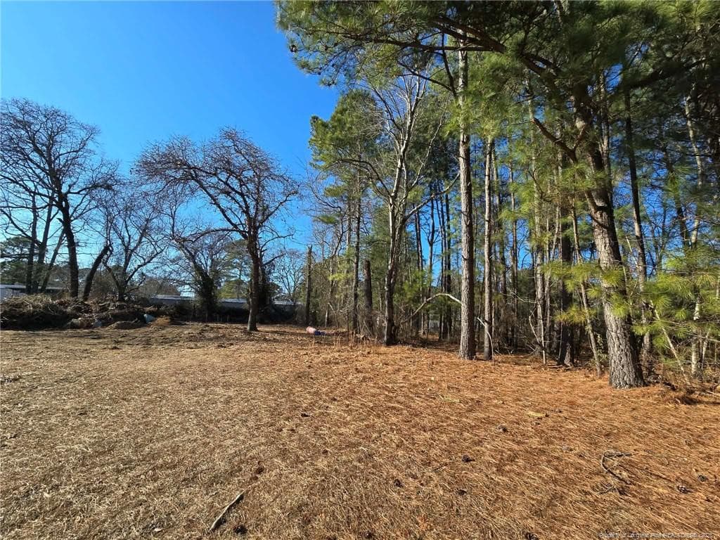 Photo 20 - 4026 Nursery Road, Spring Lake, NC 28390