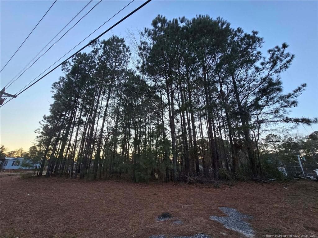 Photo 22 - 4026 Nursery Road, Spring Lake, NC 28390